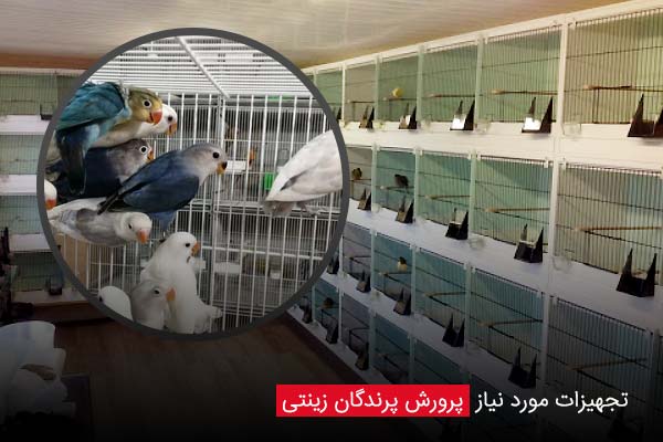 تجهیزات مورد نیاز پرورش پرندگان زینتی - چیکن دیوایس