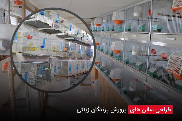 طراحی سالن های پرورش پرندگان زینتی - چیکن دیوایس