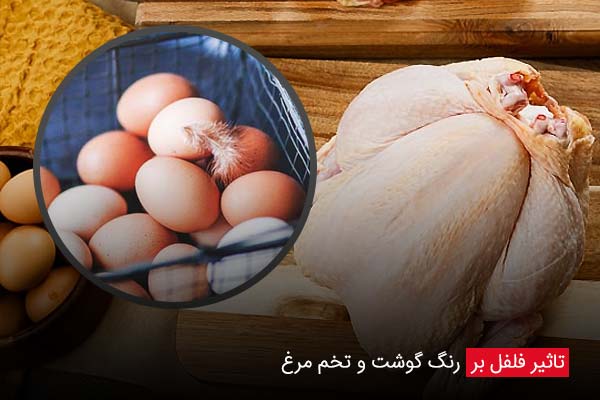 تاثیر فلفل بر رنگ گوشت و تخم‌ مرغ - چیکن دیوایس