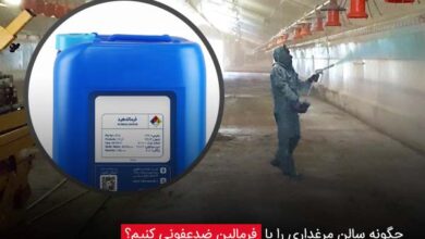 چگونه سالن مرغداری را با فرمالین ضدعفونی کنیم؟ - چیکن دیوایس