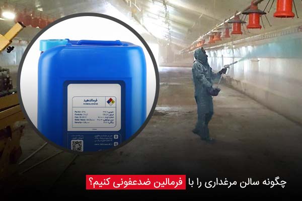چگونه سالن مرغداری را با فرمالین ضدعفونی کنیم؟ - چیکن دیوایس