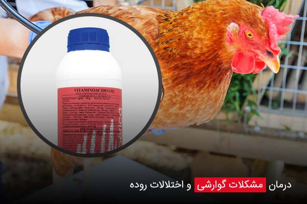 درمان مشکلات گوارشی و اختلالات روده - چیکن دیوایس