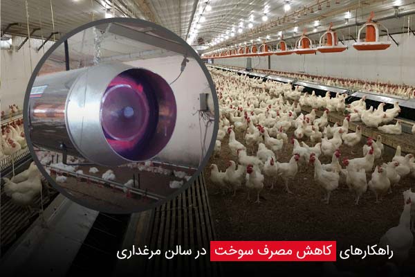 راهکارهای کاهش مصرف سوخت در سالن مرغداری - چیکن دیوایس