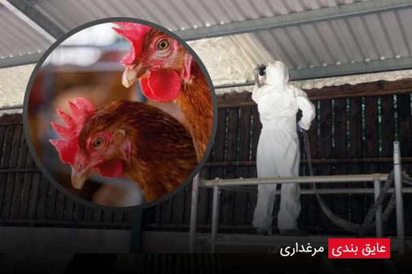 عایق بندی اصولی - چیکن دیوایس