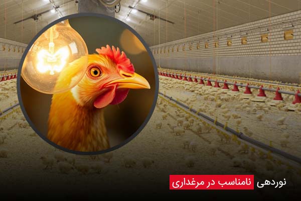 نوردهی نامناسب - چیکن دیوایس