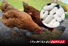 قرص استامینوفن برای مرغ - دیوایس