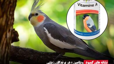 نشانه های کمبود ویتامین A - ای آی جی