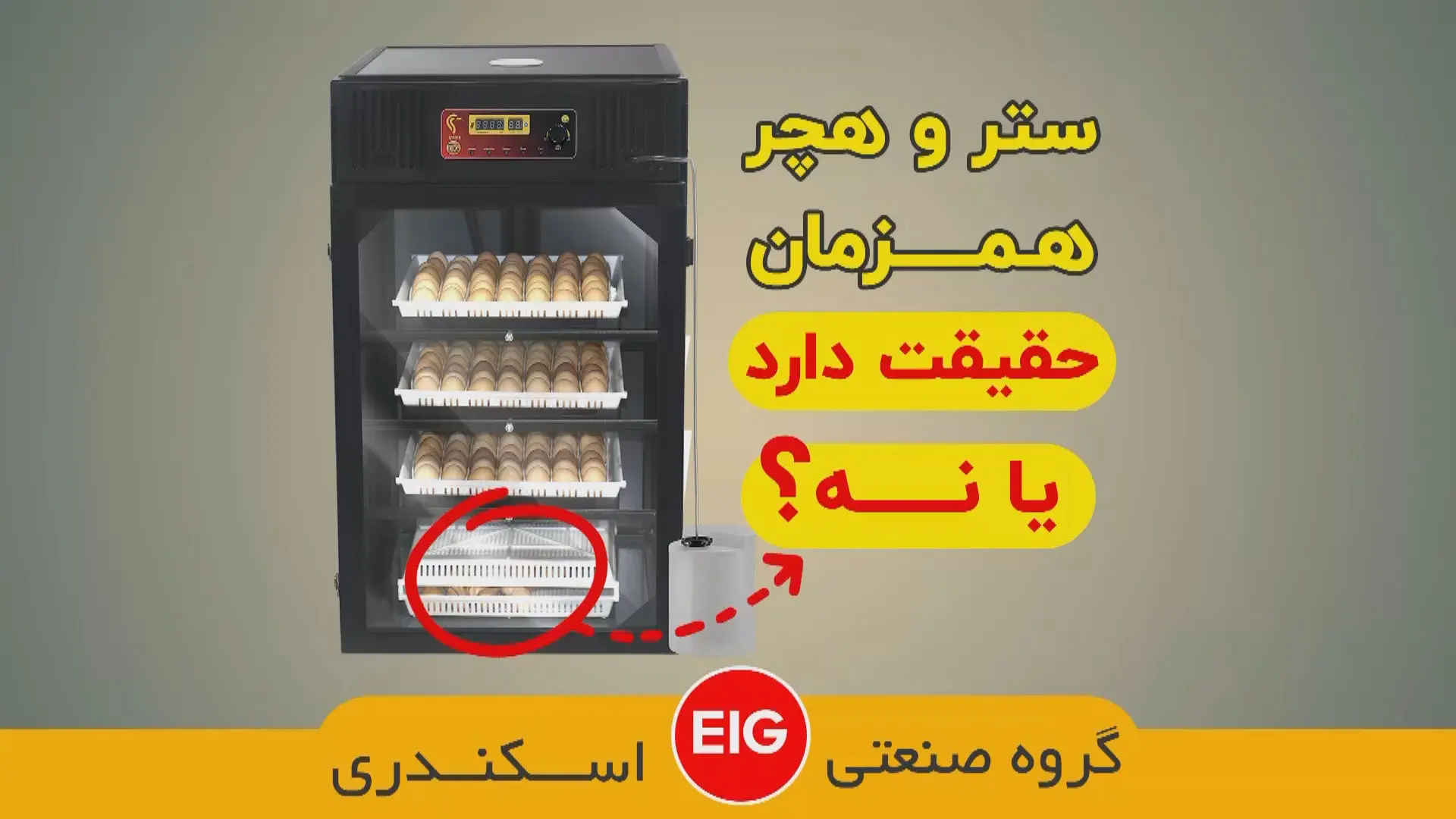 ستر هچر همزمان گروه صنعتی اسکندری