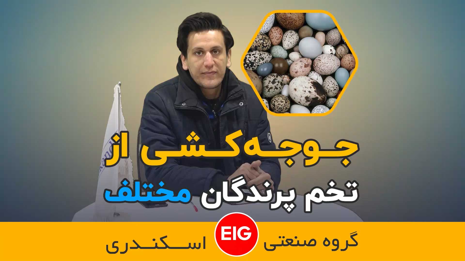 نحوه جوجه کشی از پرندگان مختلف در یک دستگاه بصورت همزمان