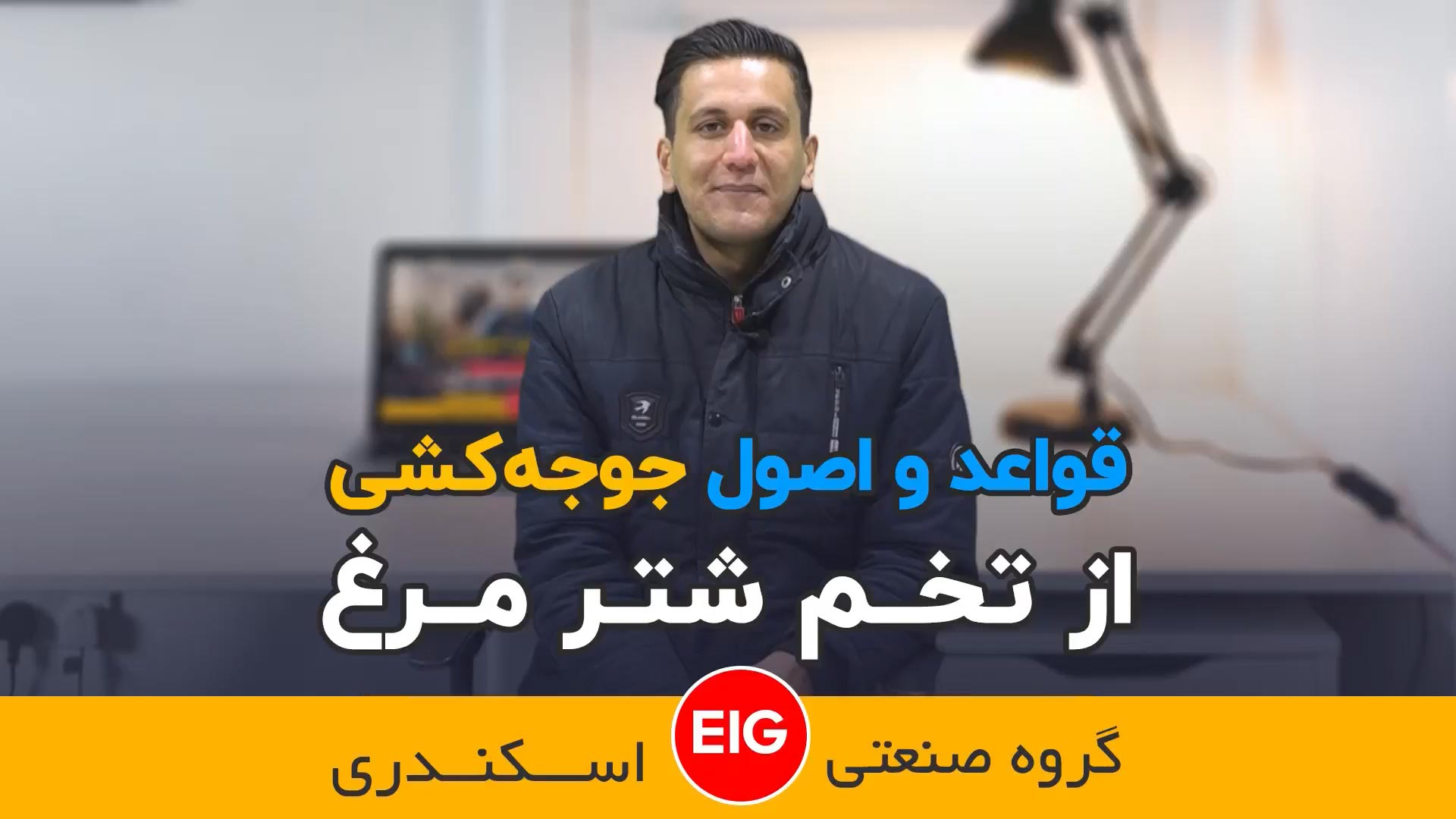 قواعد و اصول جوجه کشی از تخم شترمرغ