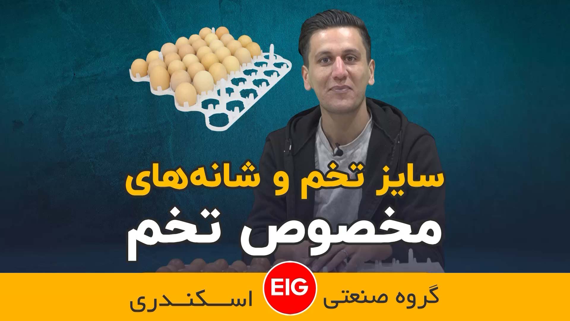 سایز تخم و شانه های مخصوص تخم