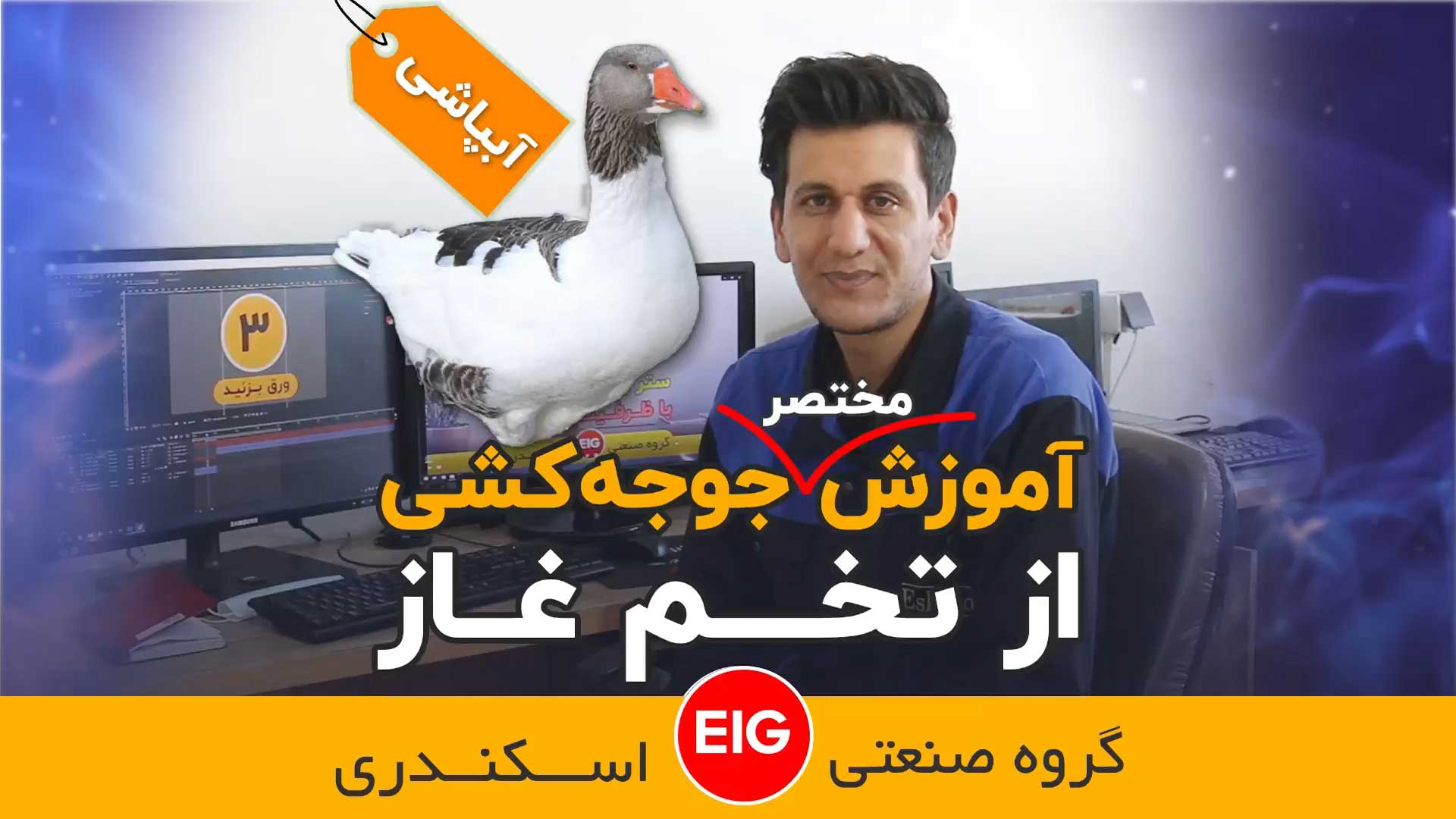 دلیل آب پاشی تخم این پرندگان چیست؟