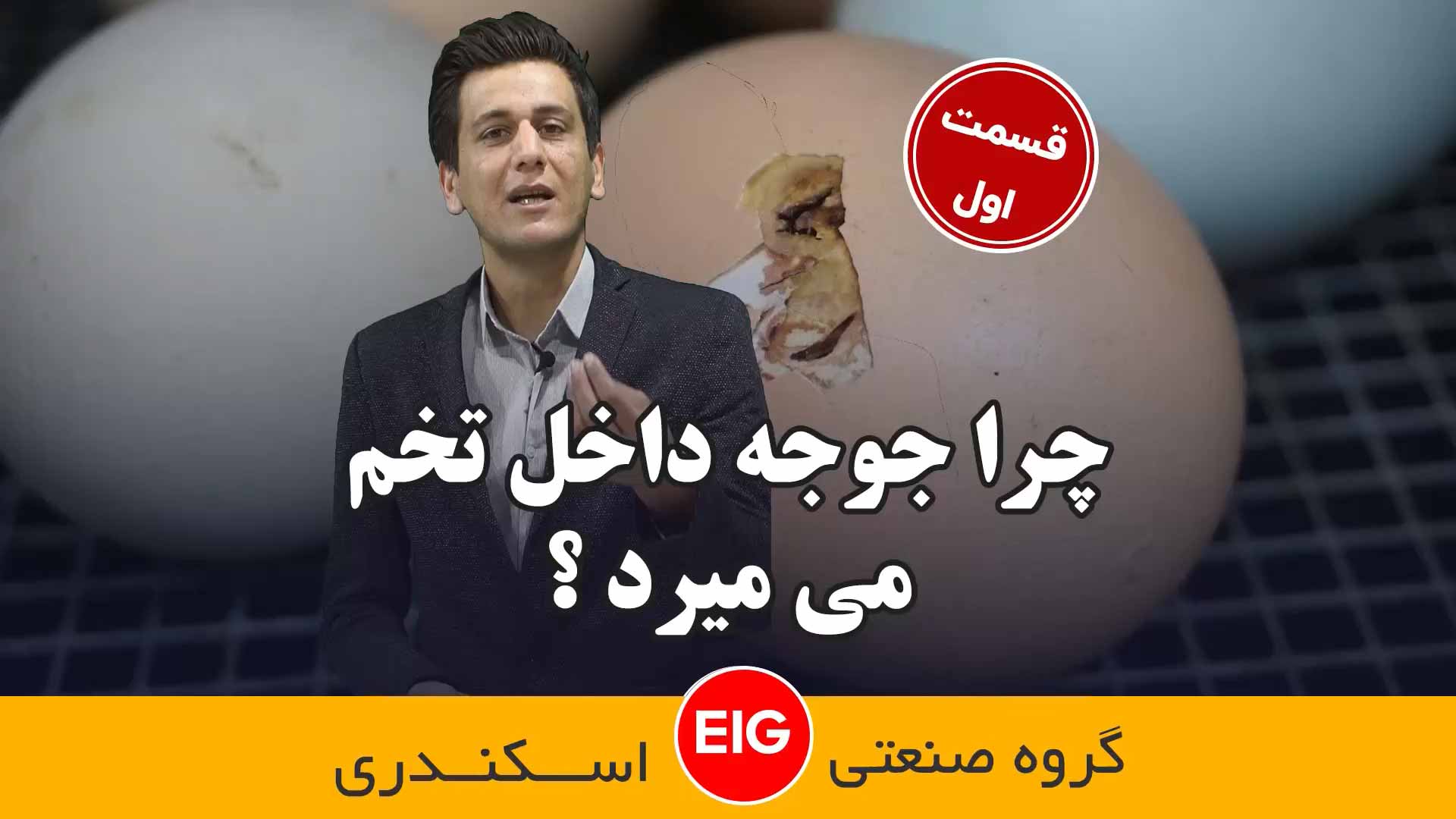 مهمترین علل مرگ جوجه ها داخل تخم چیست ؟