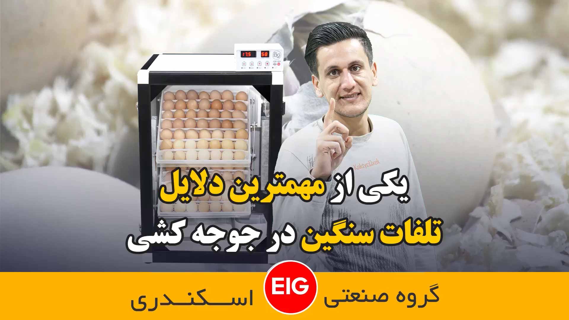 پیش گرم کردن تخم های نطفه دار