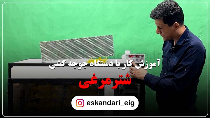 دستگاه جوجه کشی شترمرغ