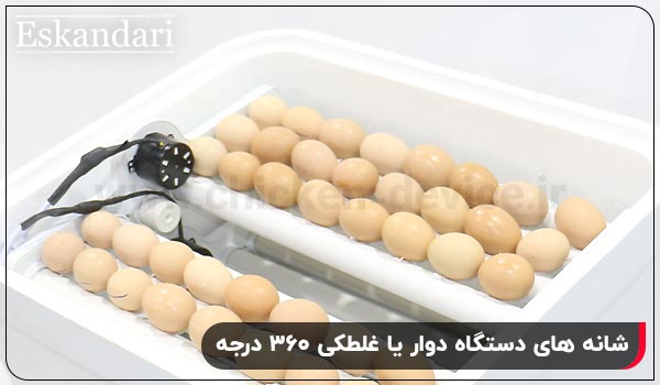شانه‌ های دستگاه دوار یا غلطکی ۳۶۰ درجه - چیکن دیوایس
