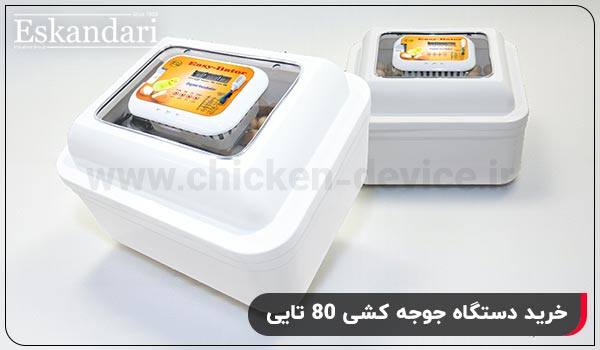 قطعات و ویژگی های تشکیل دهنده ایزی باتور 4 - چیکن دیوایس