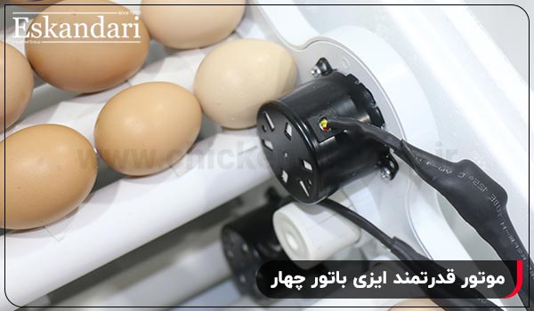 موتور قدرتمند - چیکن دیوایس