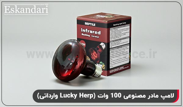 لامپ مادر مصنوعی 100 وات (Lucky Herp وارداتی)  - چیکن دیوایس